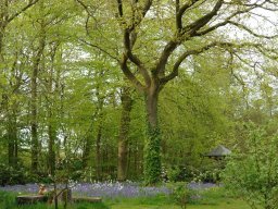 garten-bieber
